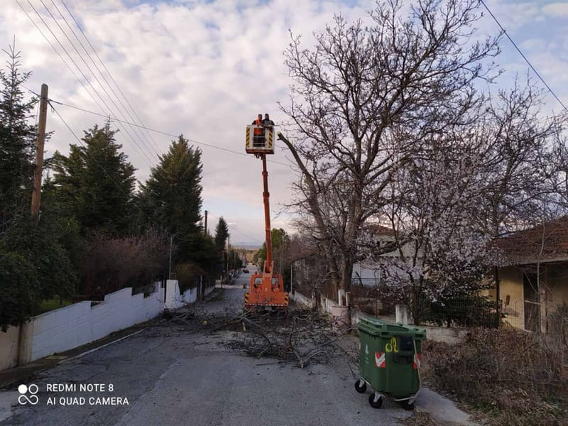 Tree pruning with a lift platform in a village